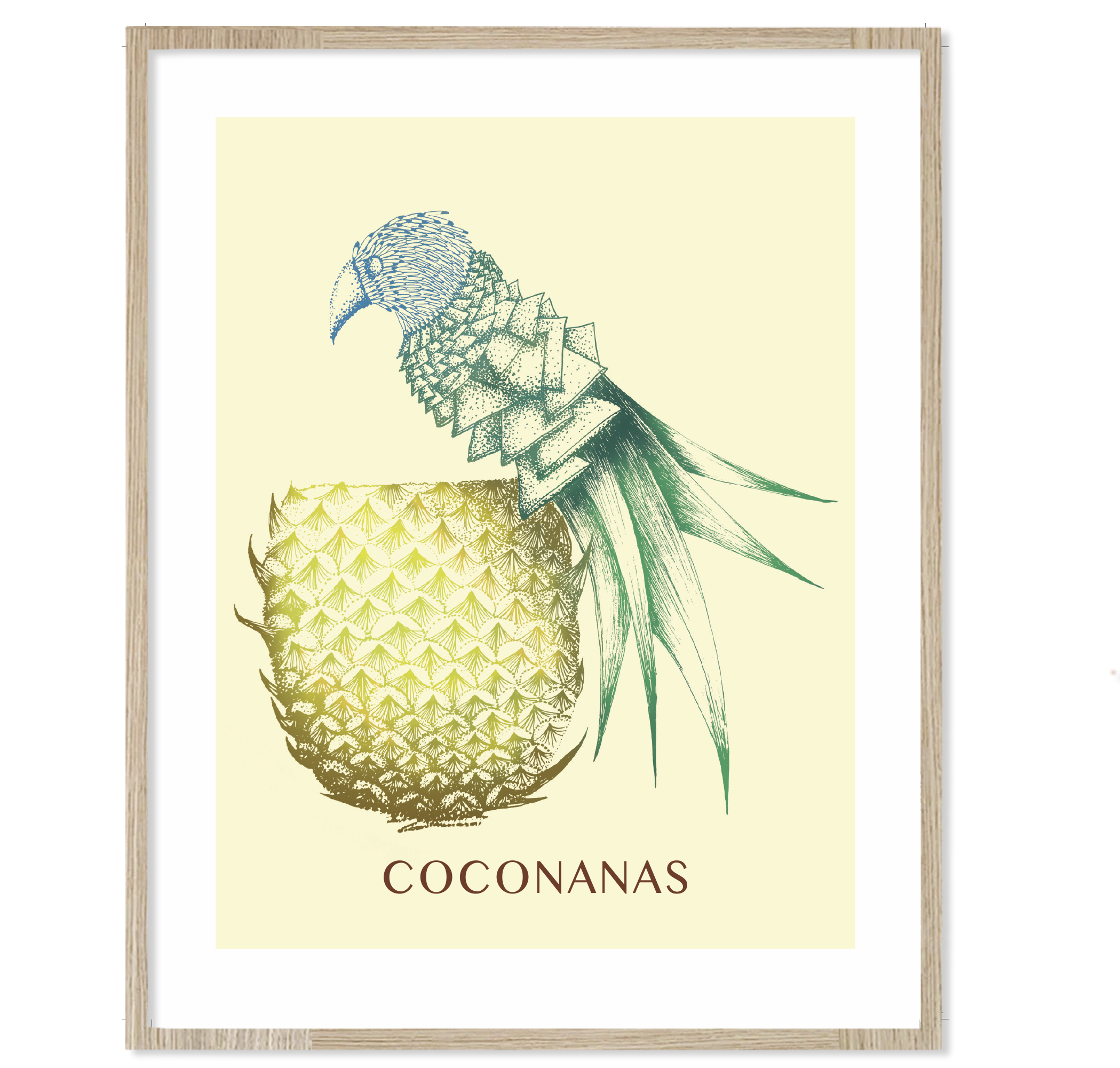 Coconanas