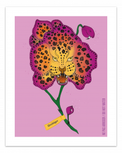 Affiches jaguar - 24x30 HD